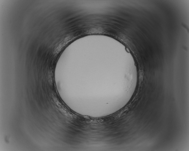 X0000100850345200807181101