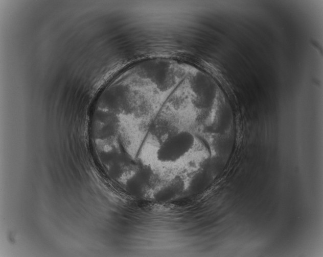 X0000100850346200807181101