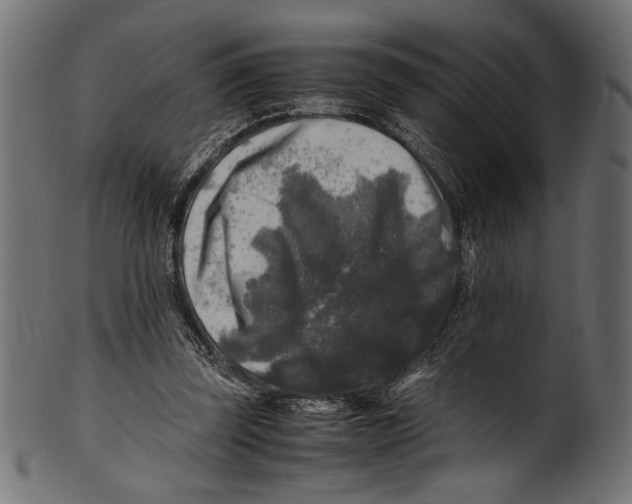 X0000100850347200807181101