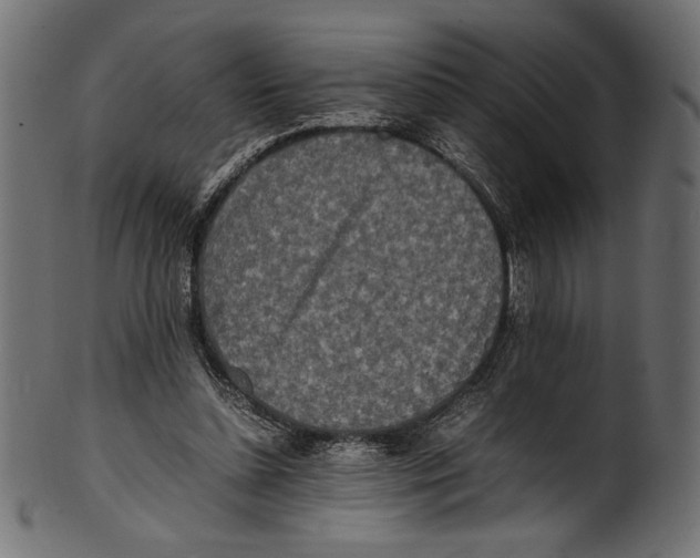X0000100850348200807181101