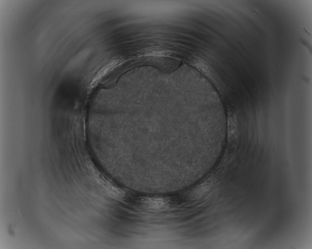 X0000100850349200807181101