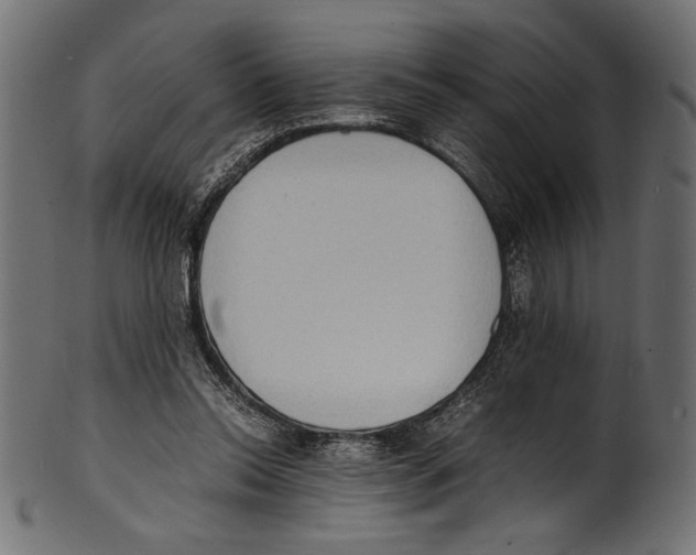 X0000100850350200807181101
