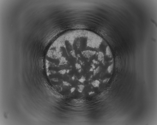 X0000100850351200807181101