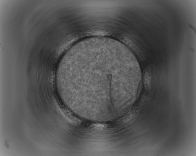 X0000100850352200807181101