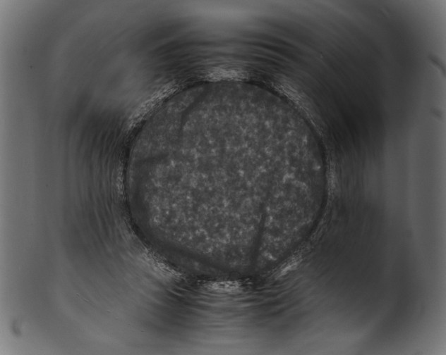 X0000100850353200807181101