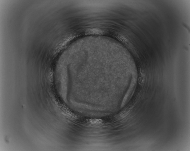 X0000100850355200807181101