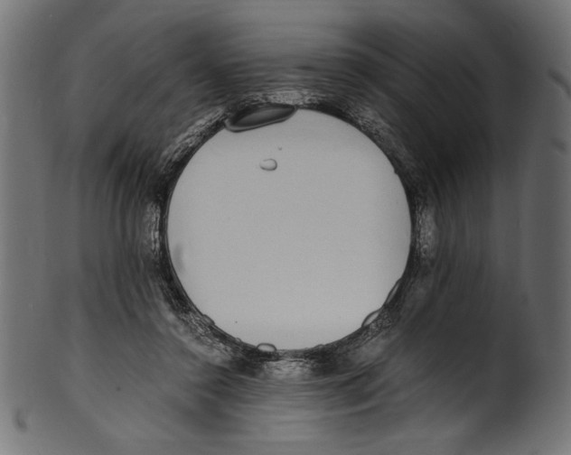 X0000100850356200807181101