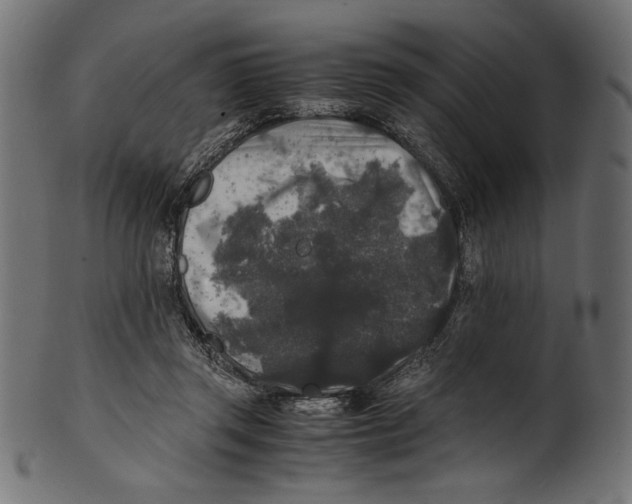 X0000100850357200807181101