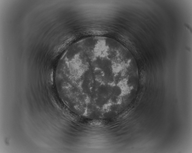 X0000100850358200807181101