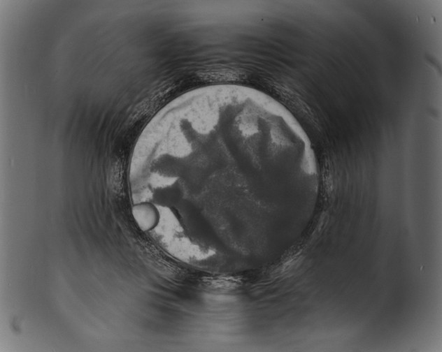 X0000100850359200807181101