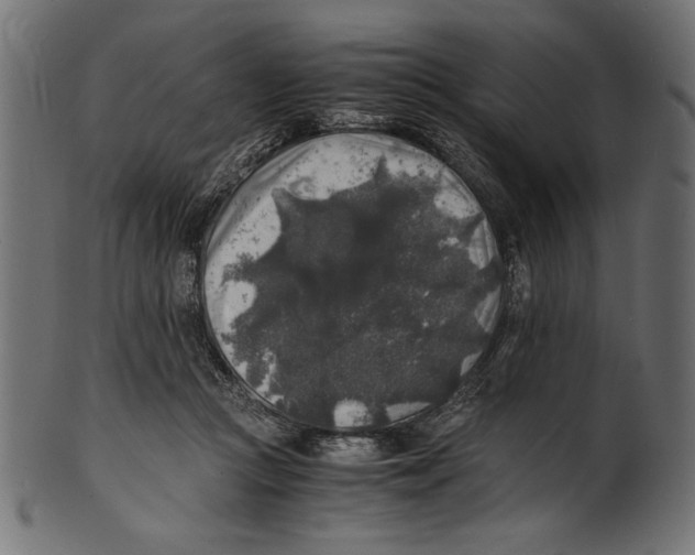 X0000100850361200807181101