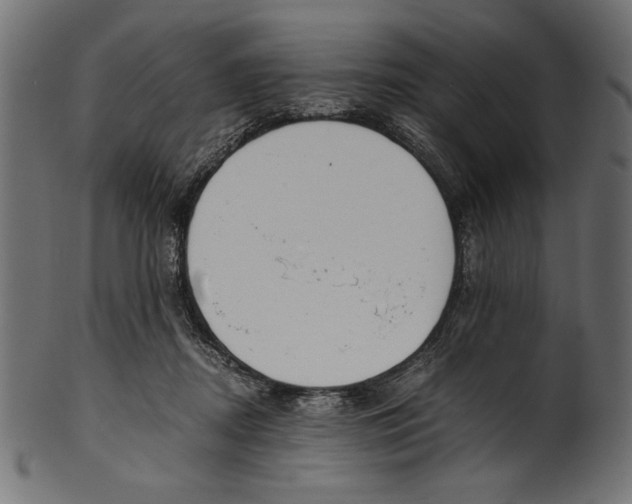 X0000100850362200807181101