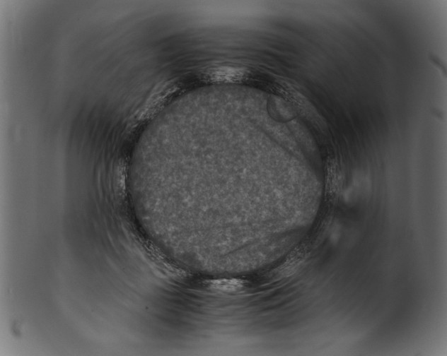 X0000100850363200807181101