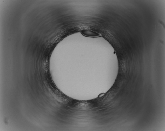 X0000100850364200807181101
