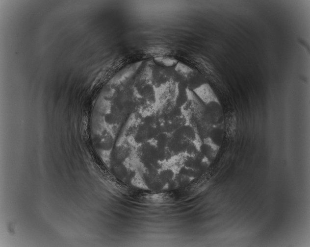 X0000100850365200807181101