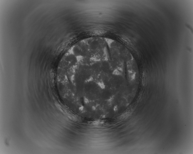 X0000100850366200807181101