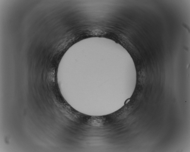 X0000100850368200807181101