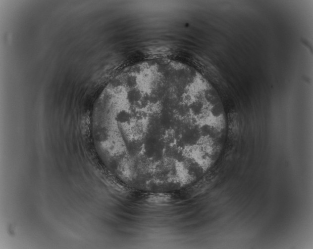 X0000100850369200807181101