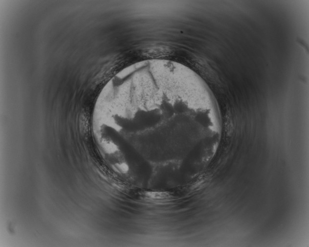 X0000100850371200807181102