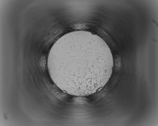 X0000100850372200807181102