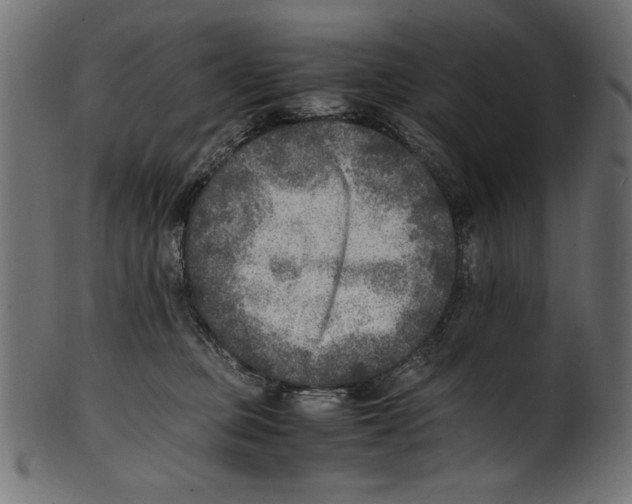 X0000100850373200807181102