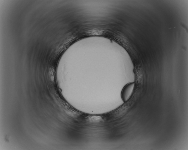 X0000100850374200807181102
