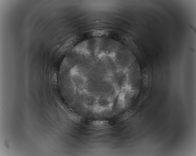 X0000100850375200807181102