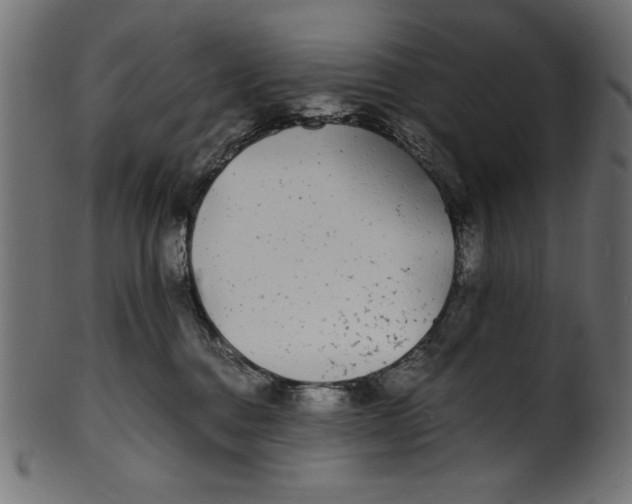 X0000100850376200807181102