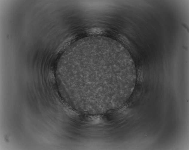 X0000100850377200807181102