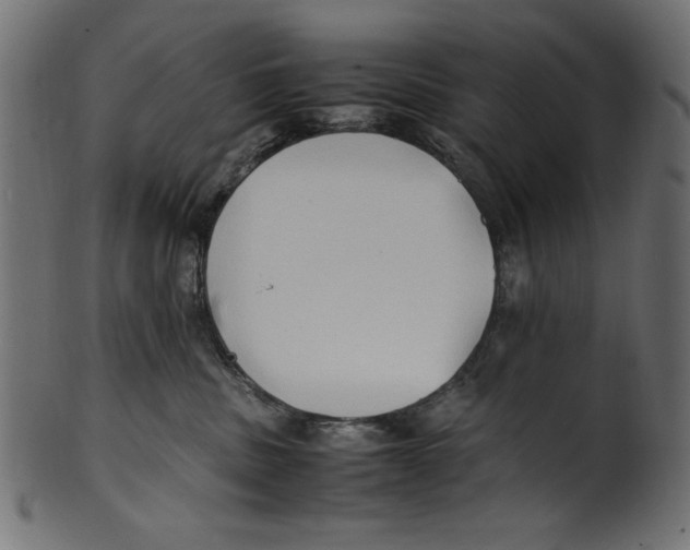 X0000100850379200807181102