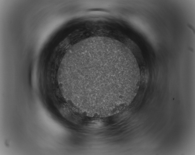 X0000100850381200807181102