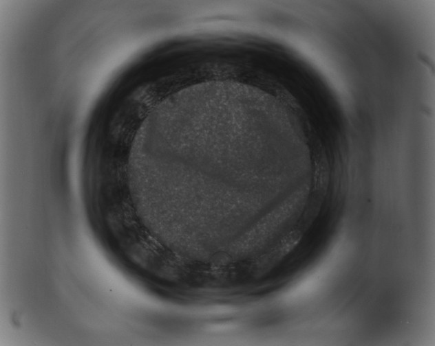 X0000100850383200807181102