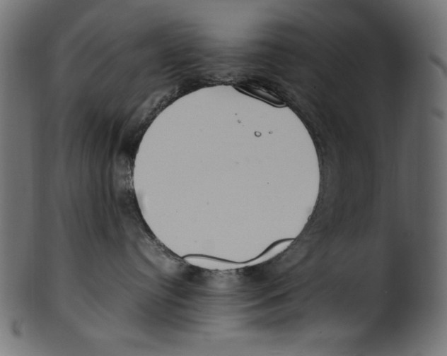 X0000100850384200807181102