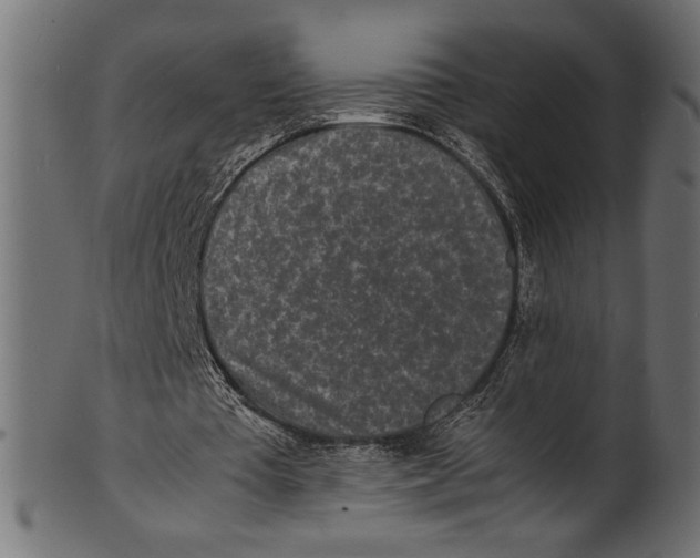 X0000100850385200807181101