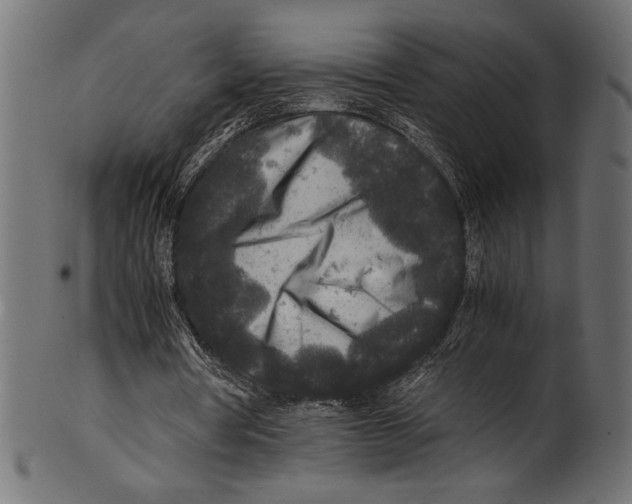X0000100850386200807181101