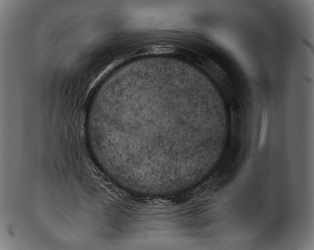 X0000100850387200807181101