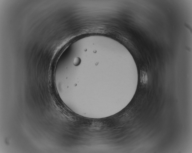 X0000100850388200807181101