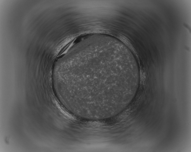X0000100850389200807181101