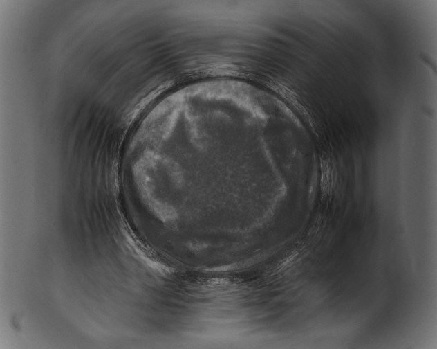 X0000100850390200807181101
