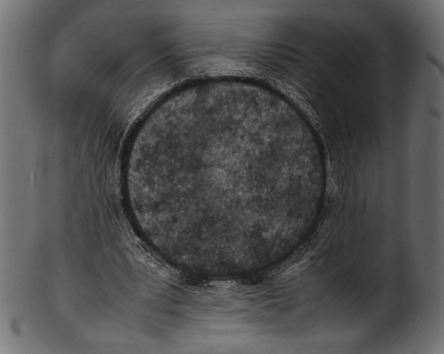 X0000100850391200807181101