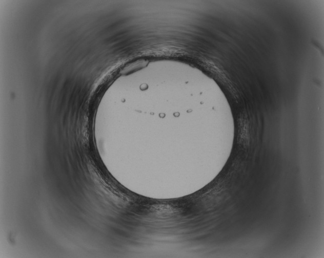 X0000100850392200807181101