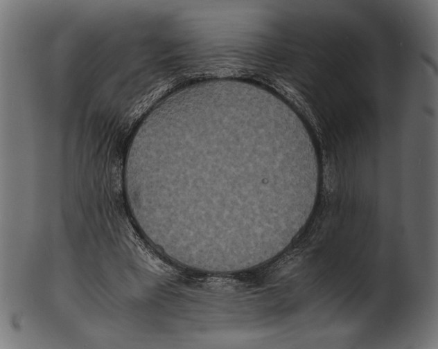 X0000100850393200807181101