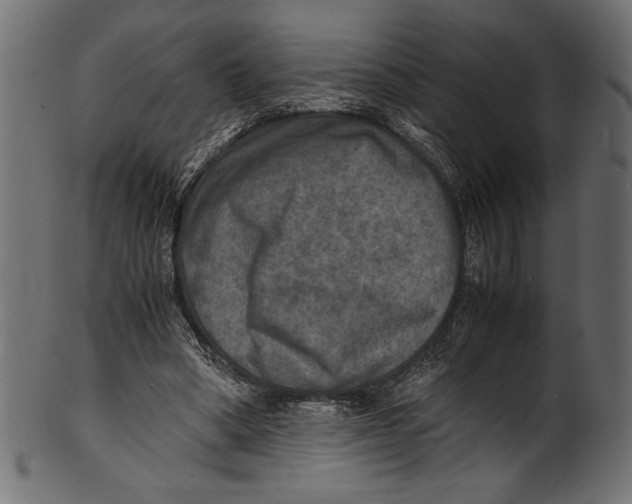 X0000100850394200807181101