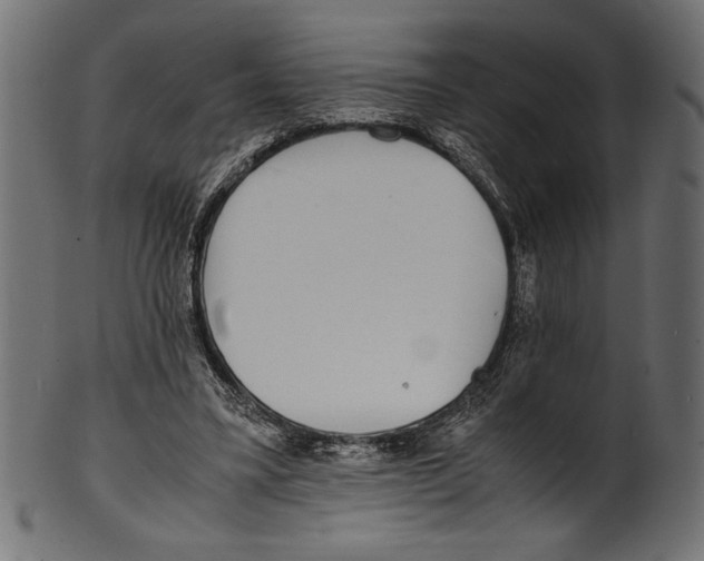 X0000100850395200807181101
