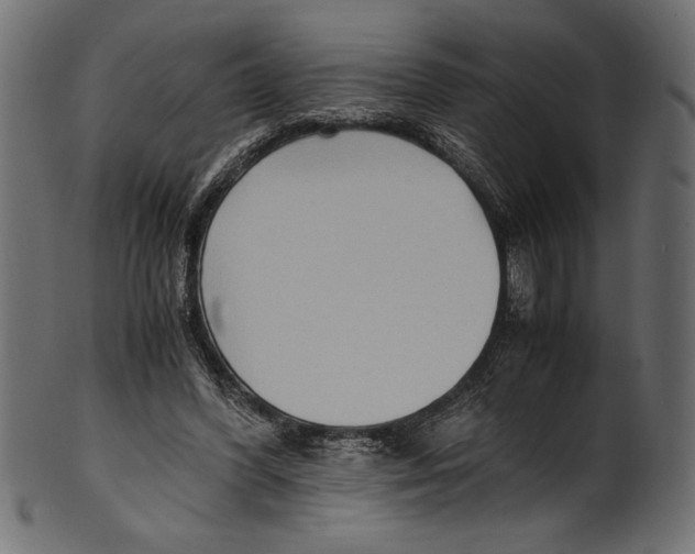 X0000100850396200807181101