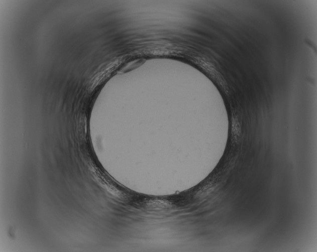 X0000100850397200807181101