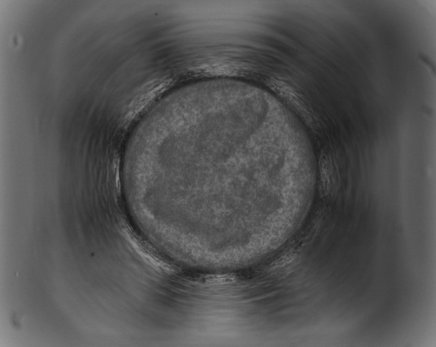 X0000100850398200807181101