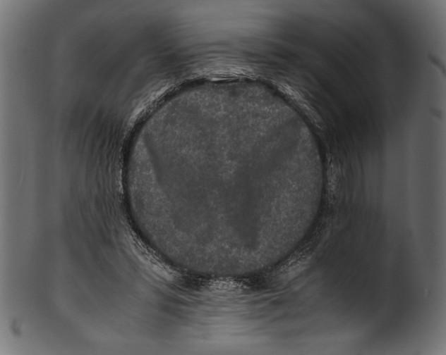 X0000100850399200807181101