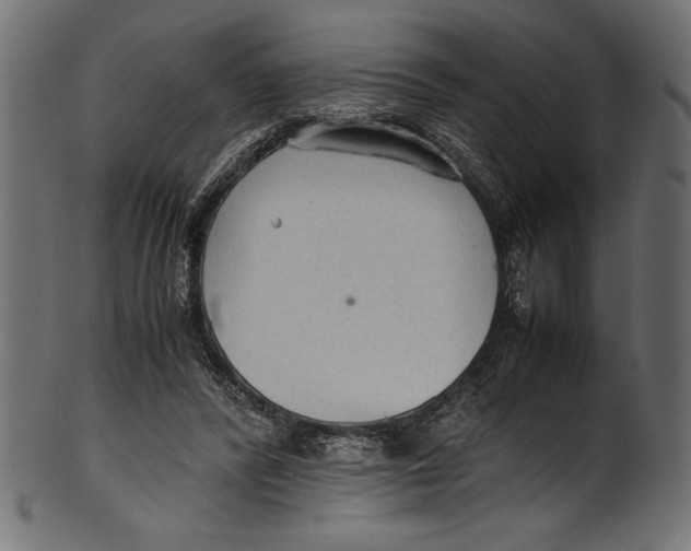 X0000100850400200807181101