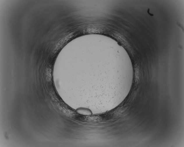 X0000100850401200807181101